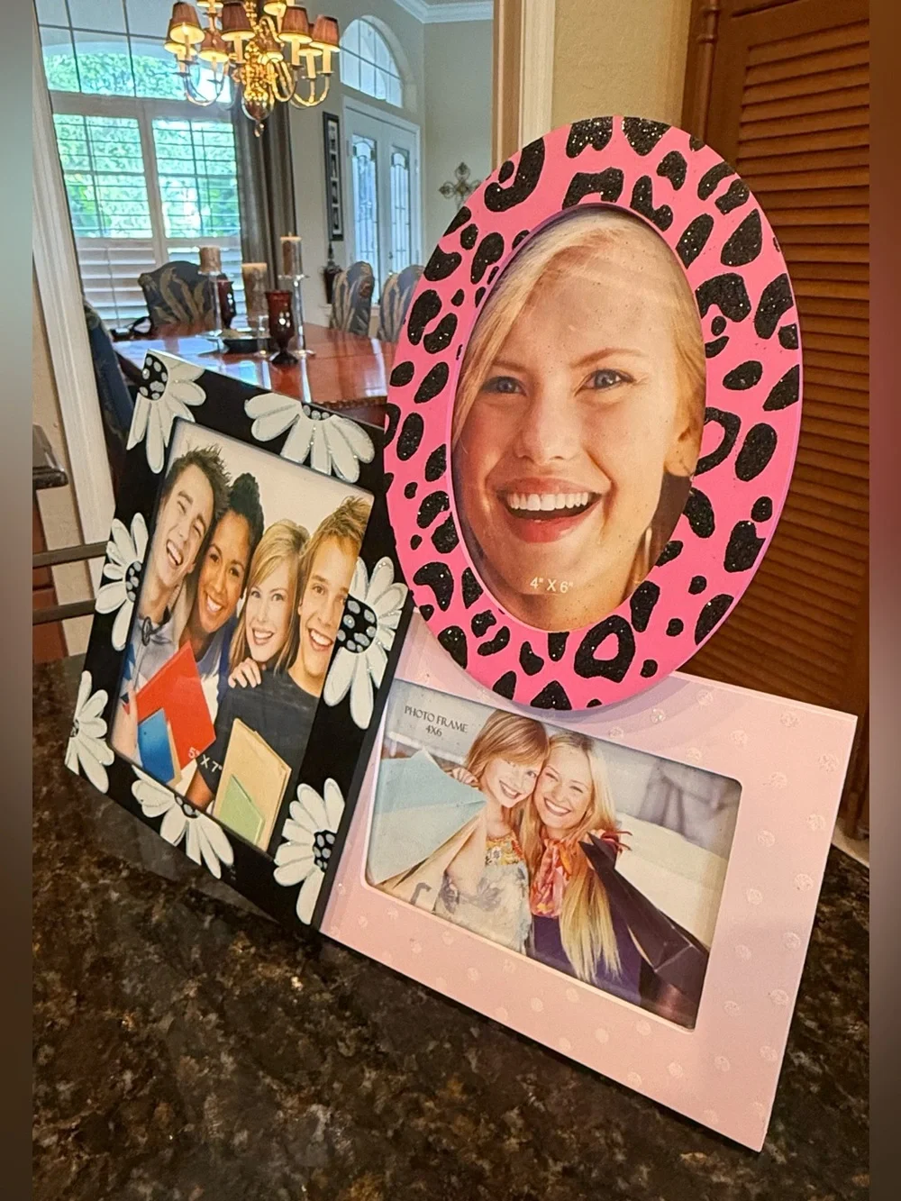 NWT Zebra and Daisy Collage Photo Picture Frame